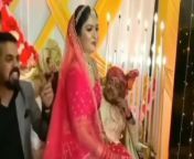 oh bhabhi tera devar deewana bhabhi devar shocks guests by doing this at her wedding watch now 920x518.jpg from sunny leone down bhabhi devar sex 3gpkingেï