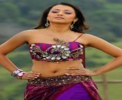 trisha krishnan parul yadav most gorgeous belly curve navel moments that made us feel the heat 2.jpg from trisha navel curves faceapp fakers desifakes