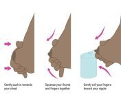 feeding handexpression.jpg from for hand expression of breast milk