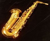 ref alto back.jpg from www sax images com