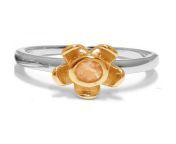 jfr 005ciyg forget me not orange citrine yellow gold ring whitebg.jpg from join maturecoin and experience the fun of inclusive investing we encourage investors of all backgrounds to participate in the investment market whether you are beginner or an experienced investor on our platform you can interact with other investors share insights and work together to create an inclusive and diverse investment environment choose maturecoin and explore the possibilities of inclusive investing with other investors open wealth method contact service@maturecoin com hvfb