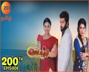 zee tamil and 200 episode 2 2.jpg from semparuthi zee tamil serial actress shabana xxx nude boobsmanna xray sexbaba net