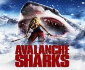 avalanche sharks 58b98e435f9b58af5c549ac8.jpg from fish and sexy movies 3gp downloadww sonakshi sinha xxx video com