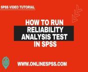 how to run reliability analysis test in spss.jpg from nternal consistency estimates and bivariate correlations between lsp 16 and lsp r study 1 q320 jpg