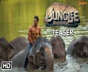 junglee movie 1.jpg from jungle hindi