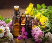 alternative medicine aromatherapy career.jpg from aromathropist so