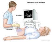 ultrasound terese winslow.jpg from ultra sound snographi