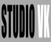 website logo hd 131217 300x69 1.jpg from studio vk