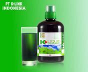 k link k link liqud chlorophyll original 500ml klorofil klinktoko resmi pt k link indonesiafull01 goyv1h3s.jpg from 出售圣卢西亚假护照【可以过海关的护照购买网址hz88 eth link】id4pje5