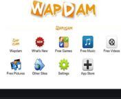 wapdam.jpg from wapfam