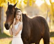pretty blonde girl and a brown horse 2880x1800.jpg from garls horesxxx