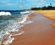 golven komen op het strand van sri lanka.jpg from sri lanka niliyange niruwath video google