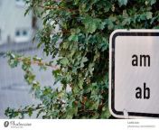4940023 sign in bushes clue signage temporary temporary photocase stock photo large jpeg from sirn in bushes