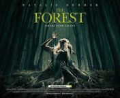 the forest.jpg from forest movie