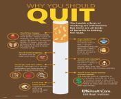 reasons quit smoking inforgraphic 786x1024.jpg from after of smoking i started to get bad anxiety if i smoked too much weed so i39m trying d8 out so far so good as in relaxed high but why does it irritate my nose so much