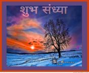 4486.jpg from hindi shubha shanydha