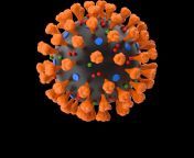 coronavirus h03 jgt .png from 19 jpg