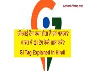 जीआई टैग क्या होता है एवं महत्व भारत में gi टैग कैसे प्राप्त करें gi tag in hindi.jpg from 16 साल की लड़की के साथ सेक्स कैसे होता है वीडियो डाà¤