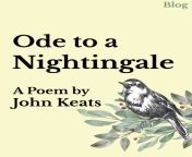 nightingale blog header 1080x1350 1 990x1238.jpg from ode to a nightingale poetry analysis ful version