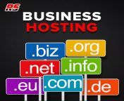 business hosting.jpg from hosting biz