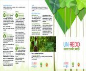brochure on un redd bangladesh national programme pdf.jpg from bangla redd