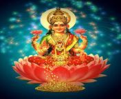 goddess lakshmi hindu godesses and deities.jpg from lakshmi mean nu