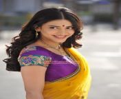 tamil actress shruti haasan 8016.jpg from tamil surti hassan