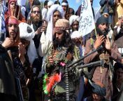 taliban militants afghanistan.jpg from afghanistan zabardasti ki zarrot parri