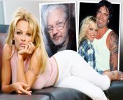 tp composite pamela anderson jpgw620 from 80 xxx photo comian hot and sexy ho