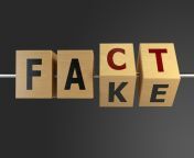 fact fake blocks spinning m.jpg from fake