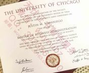 cc chicago diploma 1.jpg from 假的大学文凭制作⏩办理网bzw987 com⏪