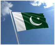 211 2115217 beautiful pakistan national flag free images.jpg from pak jpg