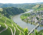 mosel 1098 1 2.jpg from mosel