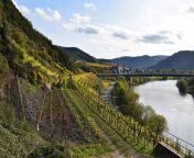 mosel gettyimages hero 1920x1280.jpg from mosel