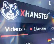 x hamster.jpg from xhadmaster