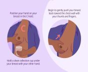 vwfam illustration how to hand express breast milk mira norian final 02 b23123347bd14f21a566e0e23fee5c8d.jpg from big boobs milk hand expression tutorial part of