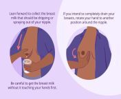 vwfam illustration how to hand express breast milk mira norian final 04 7c3bbbac759840ec967bbee68cfbbe41.jpg from how to express breast milk