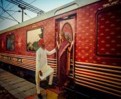 maharajas express train.jpg from train hot in north india