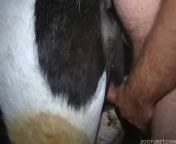 preview mp4.jpg from and fuk bull sex videos man