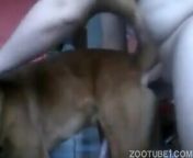porn video of fat gay fucking dog.jpg from dogs fucking gays