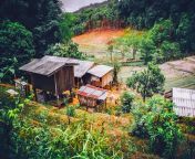 landscape nature forest wilderness farm house home country hut village shack rural jungle tropical thailand trees outdoors woods hdr buildings tropics rural area geological phenomenon 1200904.jpg from desi village outdoor in jungle