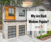 asher black windows blog cover.jpg from big black panes