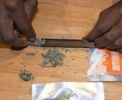 how to roll a blunt 07.jpg from blunt