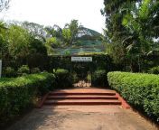 m acharya jagadish chandra bose indian botanic garden 1 l 537 716.jpg from howrah b garden desi woman sex videos