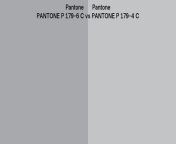 pantone p 179 6 c vs pantone p 179 4 c.jpg from 4 179