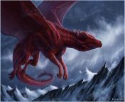 big red dragon 88.jpg from big dragon