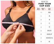 how to meausure bra new graphic 1570655106.png from how to fit a bra 124 measuring bra size 124 mrbra com lingerie guide