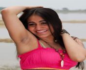 dark armpits.jpg from malayalam actress hairy passy