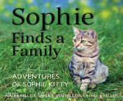 adventures of sophie kitty sophie finds a family series 1 paperback 9780998169286 e7d5707f 6fd6 4736 80b8 44eed3af7c82 1 373052309a9005b25ebf6fc2348f95ec jpegodnheight768odnwidth768odnbgffffff from kitty sophie