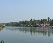 south india in 2 weeks alleppey backwaters 900x600.jpg from southindia 2